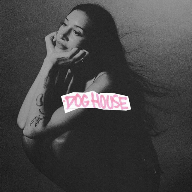 DOG HOUSE