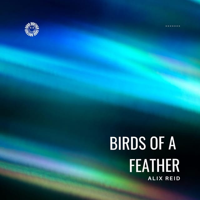 Birds Of A Feather (House) - Single
