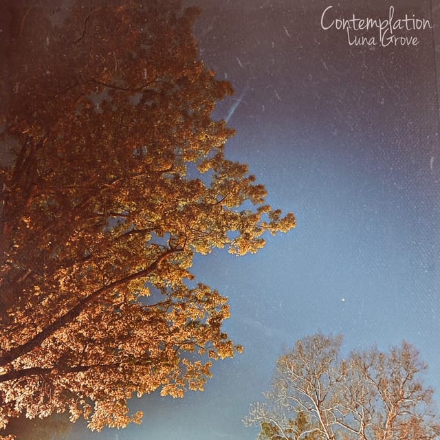 Contemplation - Single