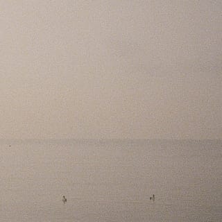 all our friends tell lies - EP