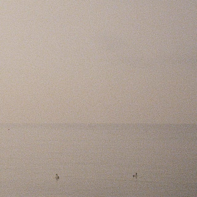 all our friends tell lies - EP