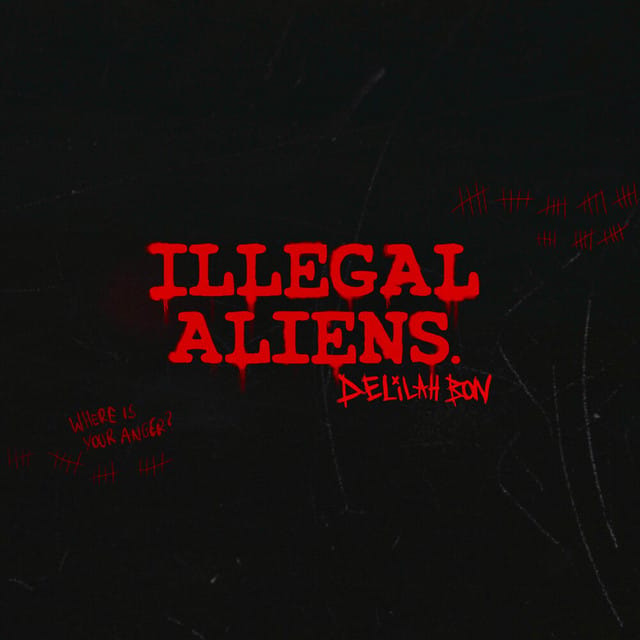 ILLEGAL ALIENS