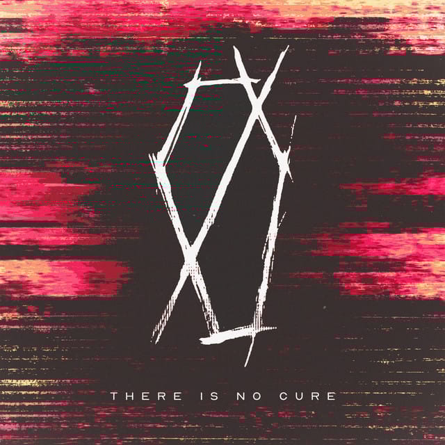 There Is No Cure