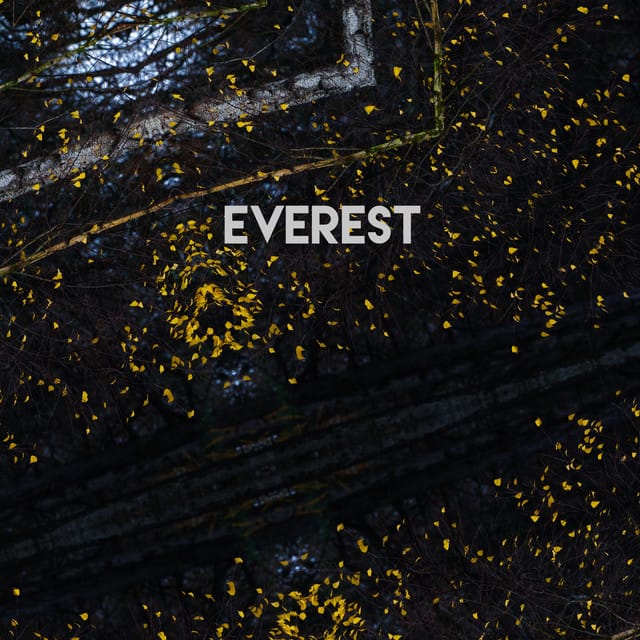 Everest - Single