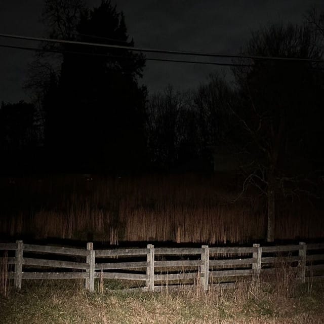 Giving up - Single