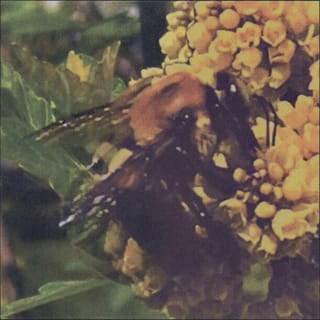Funny - Single