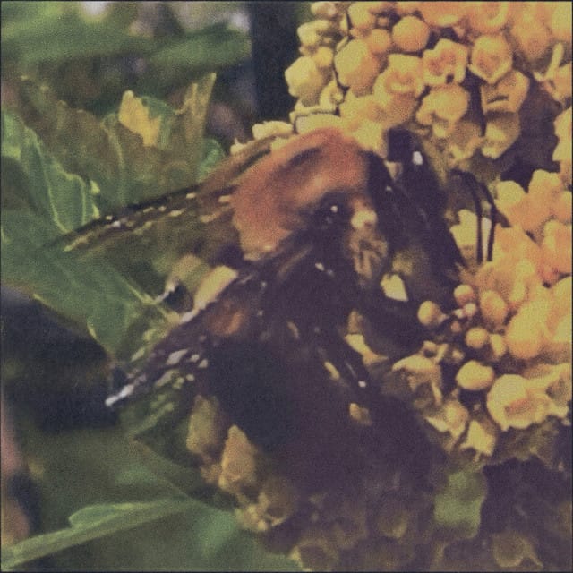 Funny - Single