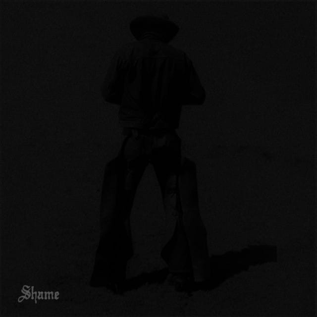 Shame (feat. Phoebe Bridgers) - Single