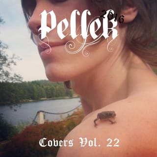 Covers, Vol. 22