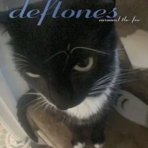 deftones and similar vibes