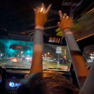 songs that feel like ribs by lorde