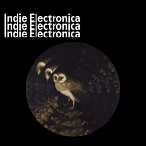 Indie Electronica