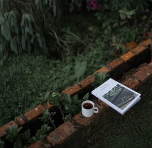 Woodland | Indie Folk Instrumental