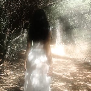 Julia Wolf- The Complete Playlist