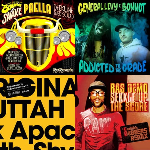 Reggae DnB /Jungle
