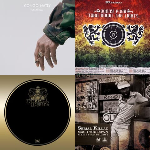 JUNGLE/RAGGA DNB/JUNGLE REVIVAL