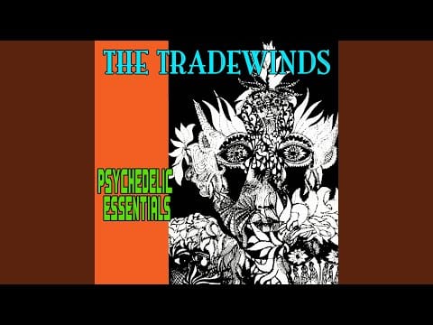 The Trade Winds — Catch Me In The Meadow