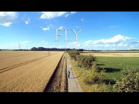 Joseph Parsons — FLY (The Field)