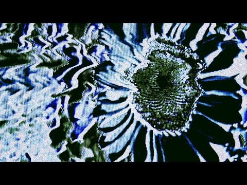 Boston Manor — Inertia