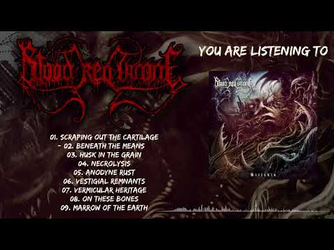 Blood Red Throne — BLOOD RED THRONE - SILTSKIN (OFFICIAL FULL ALBUM STREAM)