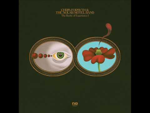 Chris Forsyth & The Solar Motel Band — Chris Forsyth & The Solar Motel   The Rarity Of Experience 2