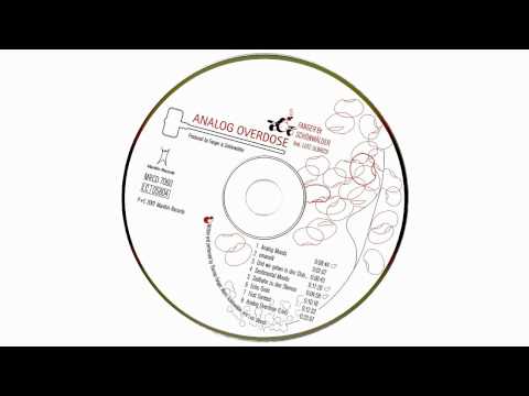 Lutz Ulbrich — Fanger & Schönwälder Feat. Lutz Ulbrich - Analog Overdose