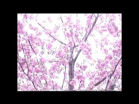 Anna Wise — One Of Those Changes Is You w/ Pink Siifu