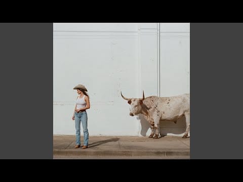 Kacey Musgraves — Horses and Divorces