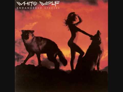 White Wolf (2) — White Wolf - Ride The Storm