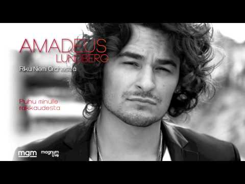 Riku Niemi Orchestra — Amadeus Lundberg & Riku Niemi Orchestra - Estrellita
