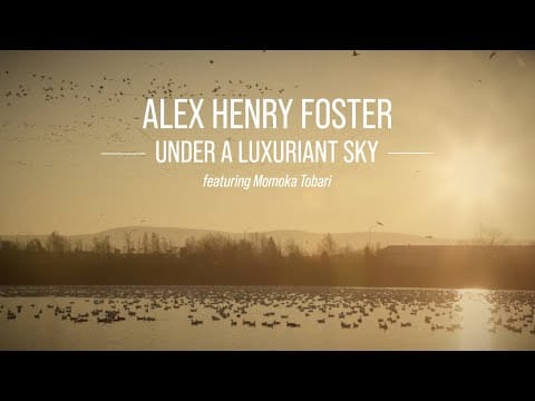 Alex Henry Foster — Alex Henry Foster - Under a Luxuriant Sky [Official Lyric Video]