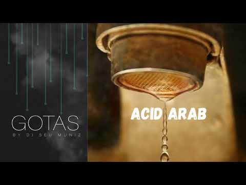 Acid Arab — ACID ARAB - Halim Guelil ft. Cheb Halim