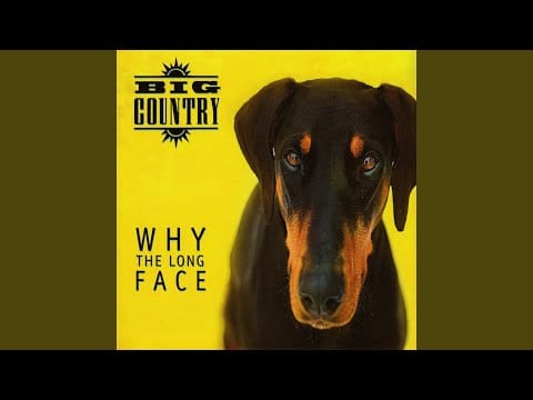 Big Country — Wildland in My Heart (Demo)