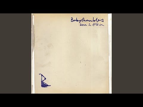 Babyshambles — Loyalty Song