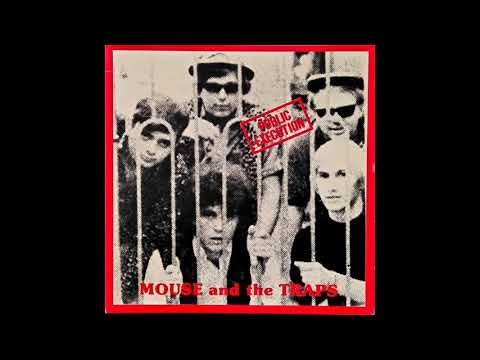 Mouse & The Traps — Mouse And The Traps - All For You (mono 1966)