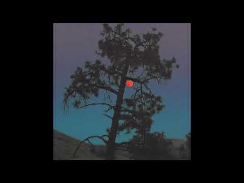 Sansibar — Sansibar - Teal'c [OYSTER34]