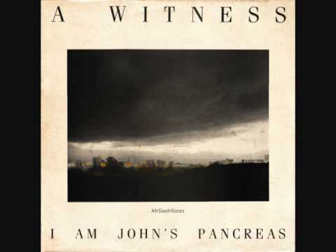 A Witness — Dipping Bird