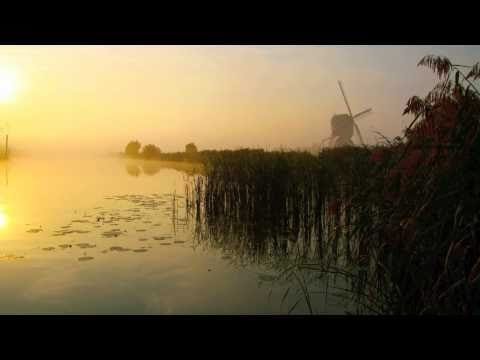 Hauschka — Hauschka - Early in the Park