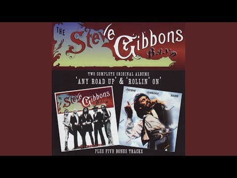 Steve Gibbons Band — Spark of Love