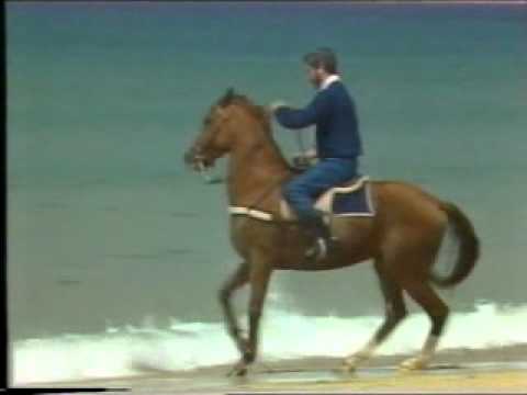 Juan Pardo — Juan Pardo-Caballo de batalla (comentada)