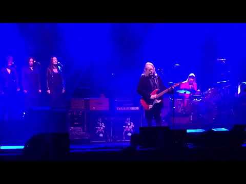 Gov’t Mule — Gov’t Mule - Comfortably Numb (Live)