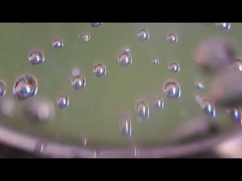 Nick Holder — Nick Holder / Erotic Illusions // +3.2 rpm