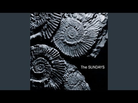 The Sundays — Skin And Bones