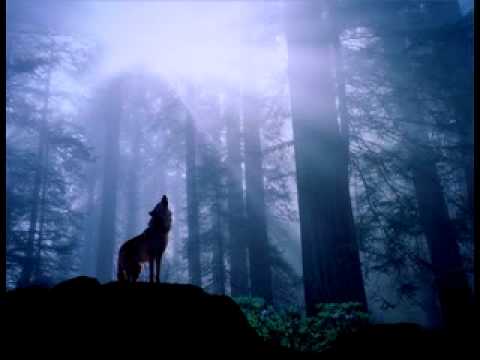 M.I.K.E. — M.i.k.e. - The Running Night