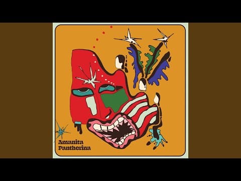 Cabbage (3) — Direct-Dictate