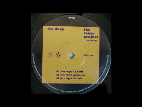 The Reese Project — The Reese Project - So Deep (vougon mix)