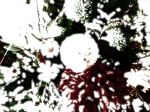 Tropic Of Cancer — Tropic Of Cancer   Children Of A Lesser God