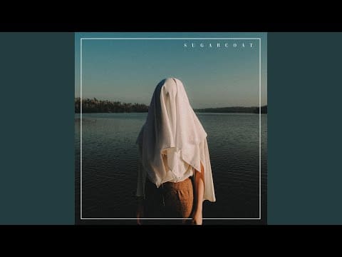 The Polarity — V H S