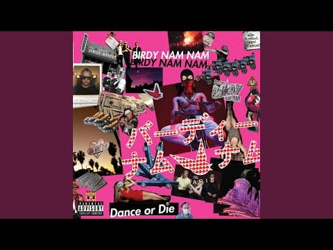 Birdy Nam Nam — Don't Look Back in Anger (feat. Dogg Master)