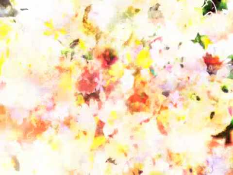 Akira Kosemura — 【MV】Akira Kosemura - Grassland
